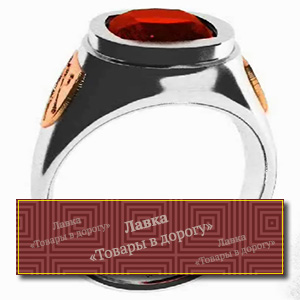 Кольцо фиксации 4.1 Великой Гильдии Боевых М. — изображение 2