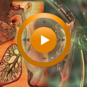 Видеозаклинание «Лечение органов дыхания» для прибора Гекс-1
