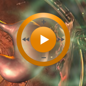 Видеозаклинание «Лечение желудка» для прибора Гекс-1
