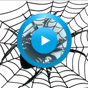 Видеозаклинание «Майянские пауки» для прибора Гекс-1