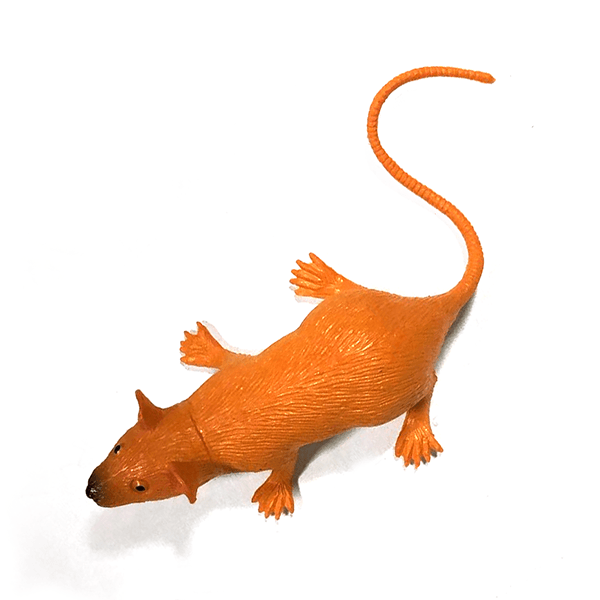 №255 Крыса Денег Рыжая
