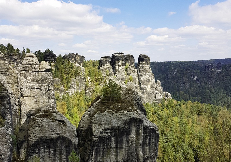 Суперлекция. Общее лечение. Великая Гильдия Целителей