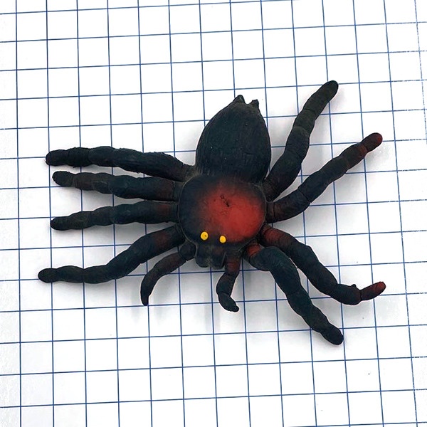 №a2650 Черный паук - бизнес партнер